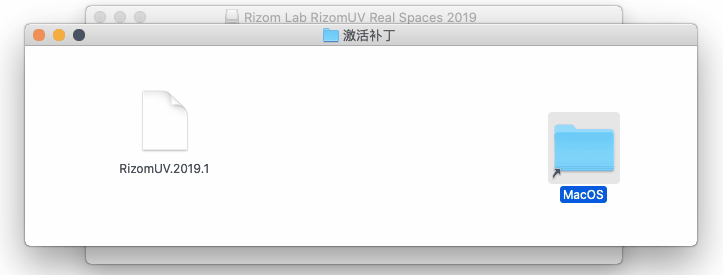 Rizom-Lab RizomUV Virtual Spaces v2018.0.95 Win Mac