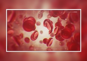 AE模板：红细胞医疗科学文字片头动画AE模板 