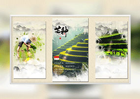 AE模板：水墨芒种竖屏小视频模板