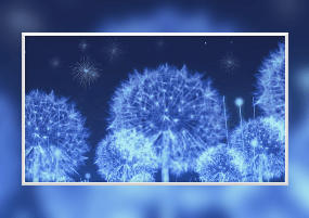视频： 蒲公英卡通浪漫唯美相册背景