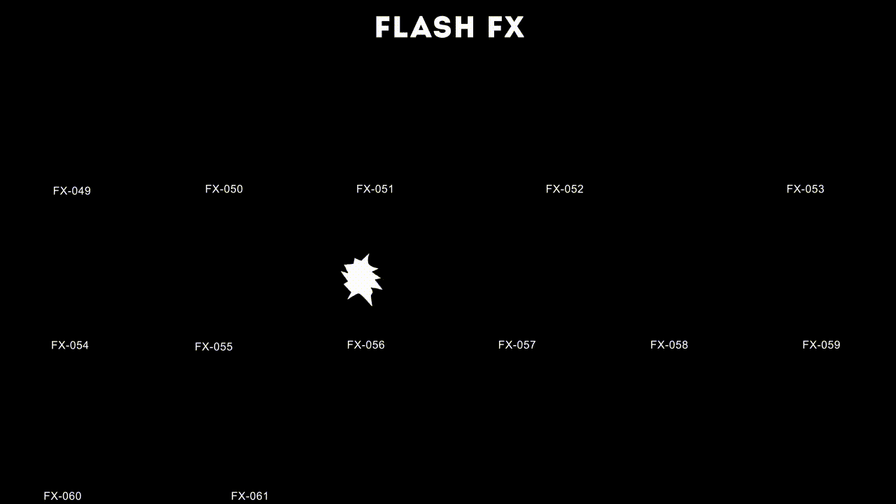 -FlashFX-Catalog-04.gif