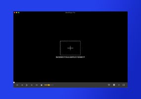 OmniPlayer Pro for Mac v1.0.3 全能影音播放器 直装版