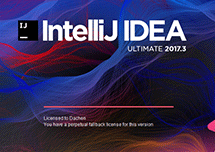 IntelliJ IDEA 2017.3.5 安装激活详解