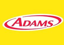 Adams 2015 安装激活详解