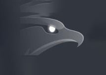 免费在线下载软件：猎鹰下载加速器EagleGet v2.1.6.30