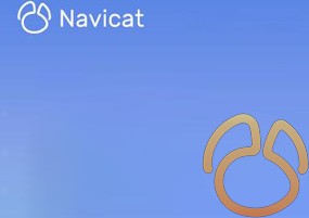 Navicat for MariaDB 12 Mac v12.1.13 数据库管理和开发工具 安装教程详解