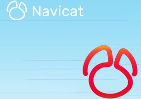 Navicat for Oracle 12 for Mac v12.1.13 数据库管理软件 安装教程详解