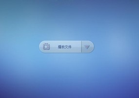 视频转换器：Any DVD Converter