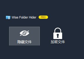 文件隐藏工具：Wise Folder Hider 4.2.9.189 便携版