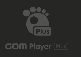 高级视频播放器：GOM Player PLUS 2.3.50.5313 便携版