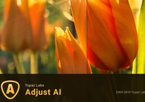 Topaz Adjust AI v1.0.5 HDR渲染 安装激活详解