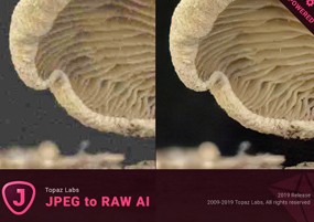 Topaz JPEG to RAW AI v2.2.1 压缩失真恢复颜色细节工具 安装激活详解
