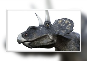 C4D模型：特暴龙剑龙34个史前动物恐龙怪兽C4D模型