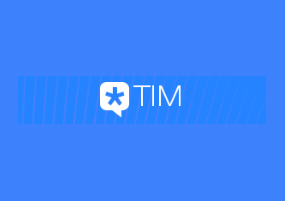 TIM 3.0.0.21315 精简版