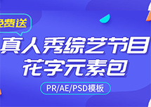 1000+综艺节目卡通搞笑花字字幕动画元素包免费送！PR/AE模板