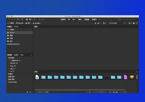 Adobe Bridge 2020 for Mac v10.1.1 文件管理 激活版
