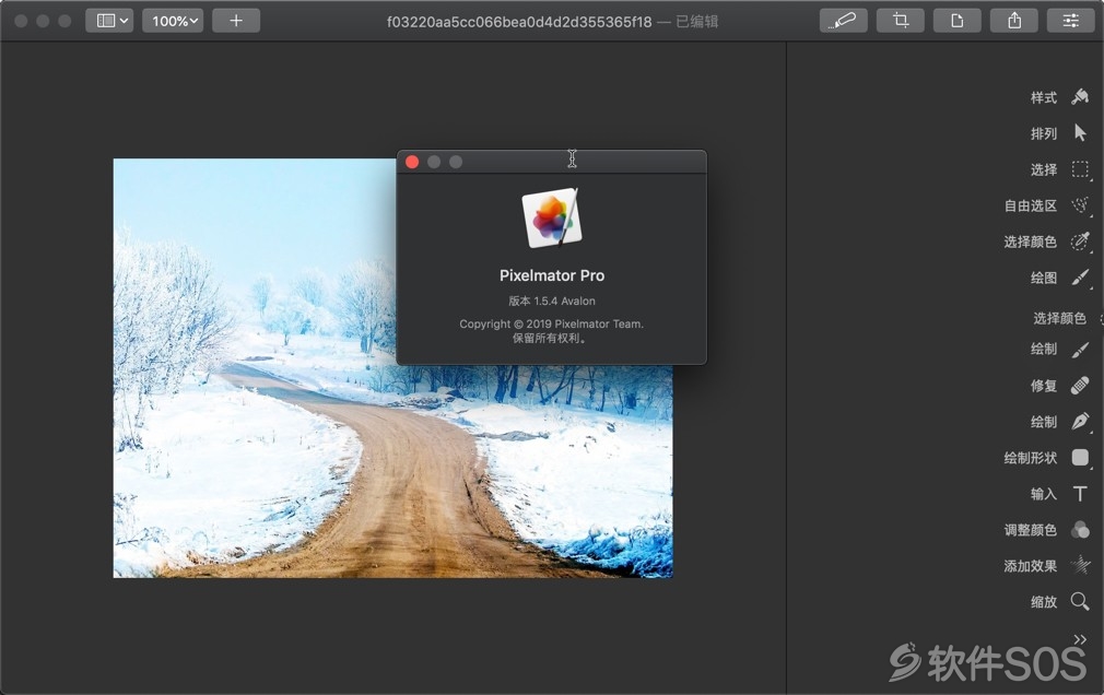 Pixelmator Pro for Mac v1.7 专业图像处理 直装版