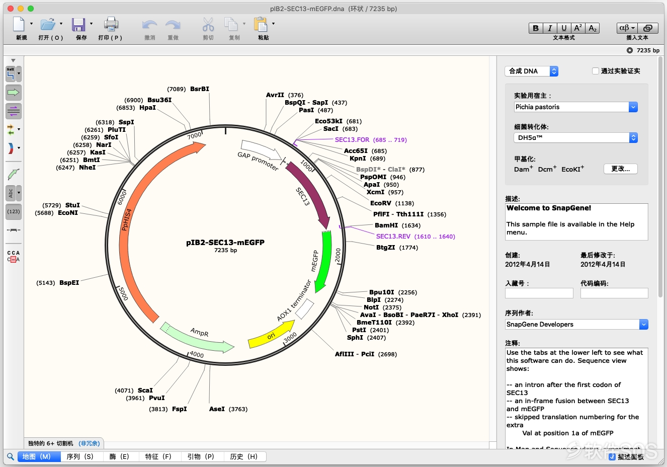 SnapGene 4 for Mac v4.3.6 DNA序列分析软件 安装激活详解